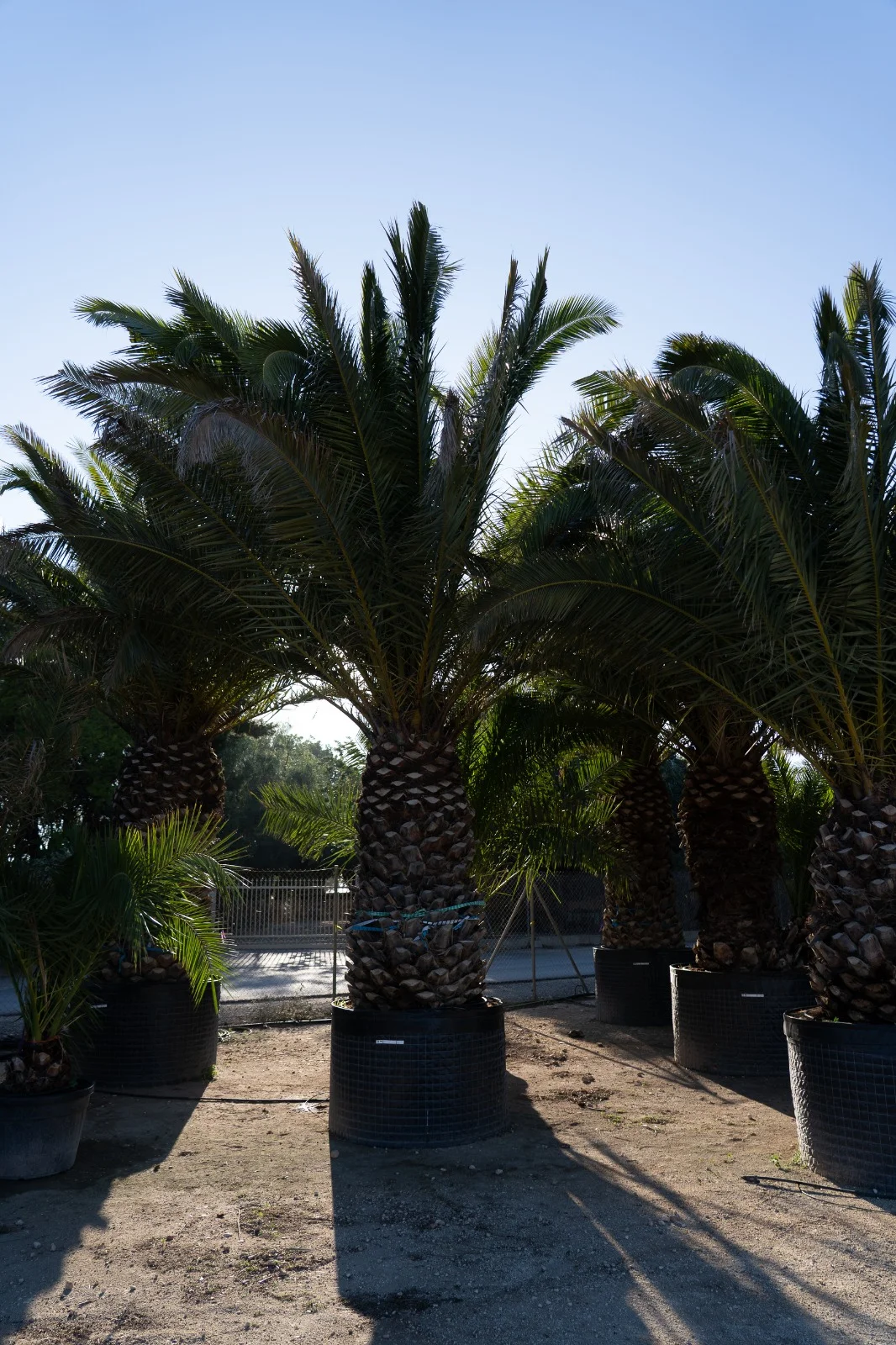 Projects that turn landscape into identity